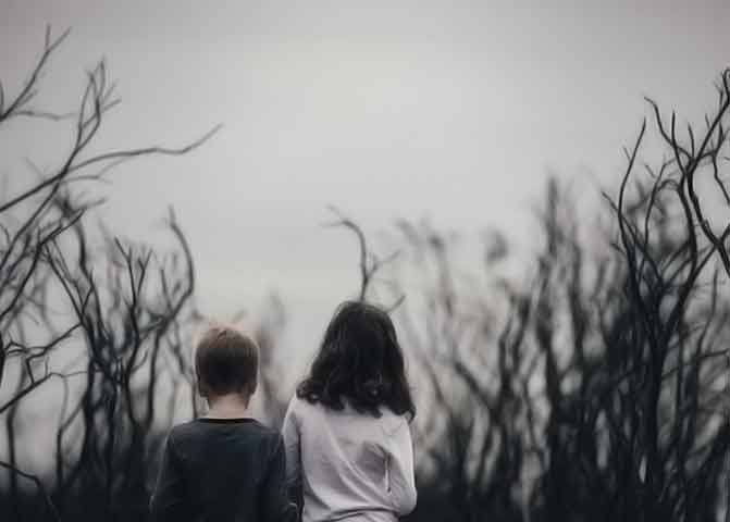 账号验证码的器测压文章